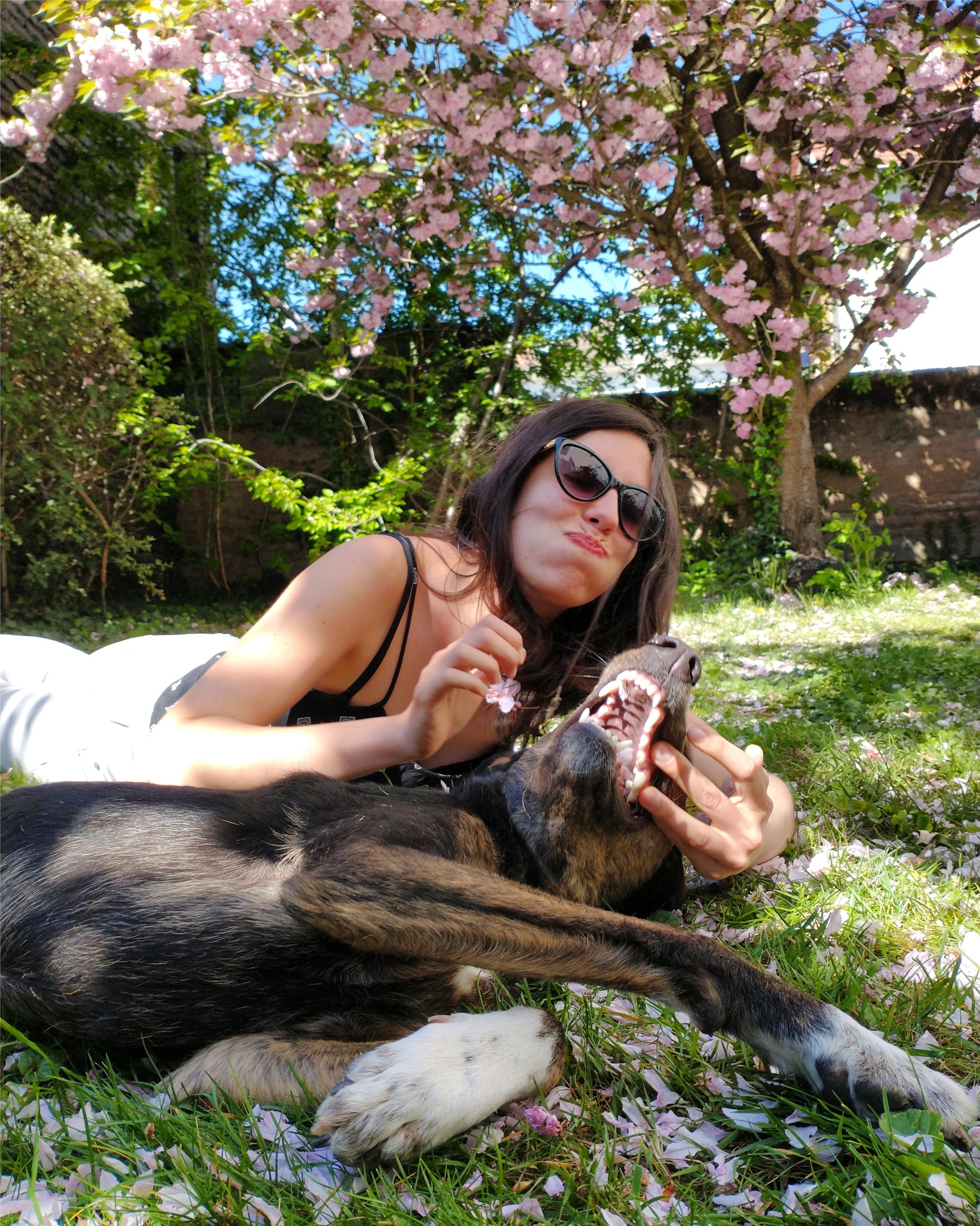 Elia et moi Elia, ma chienne, lovée entre mes jambes placées en tailleur