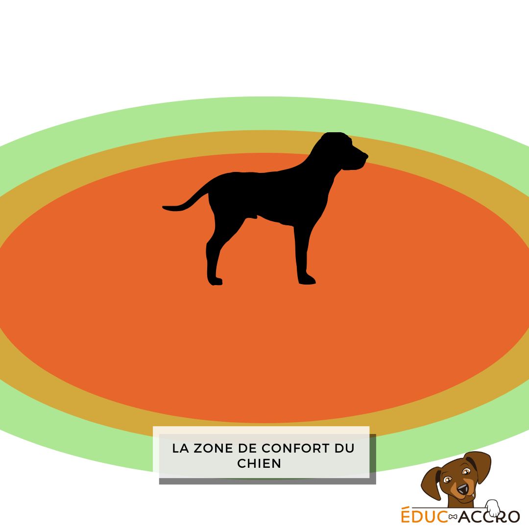 Une autre représentation théorique de la zone de confort d'un chien Une illustration de la zone de confort du chien par des cercles, allant du vert au rouge